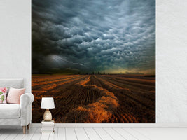 photo-wallpaper-mammatus