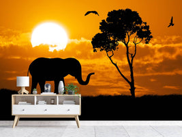 photo-wallpaper-dreamy-africa