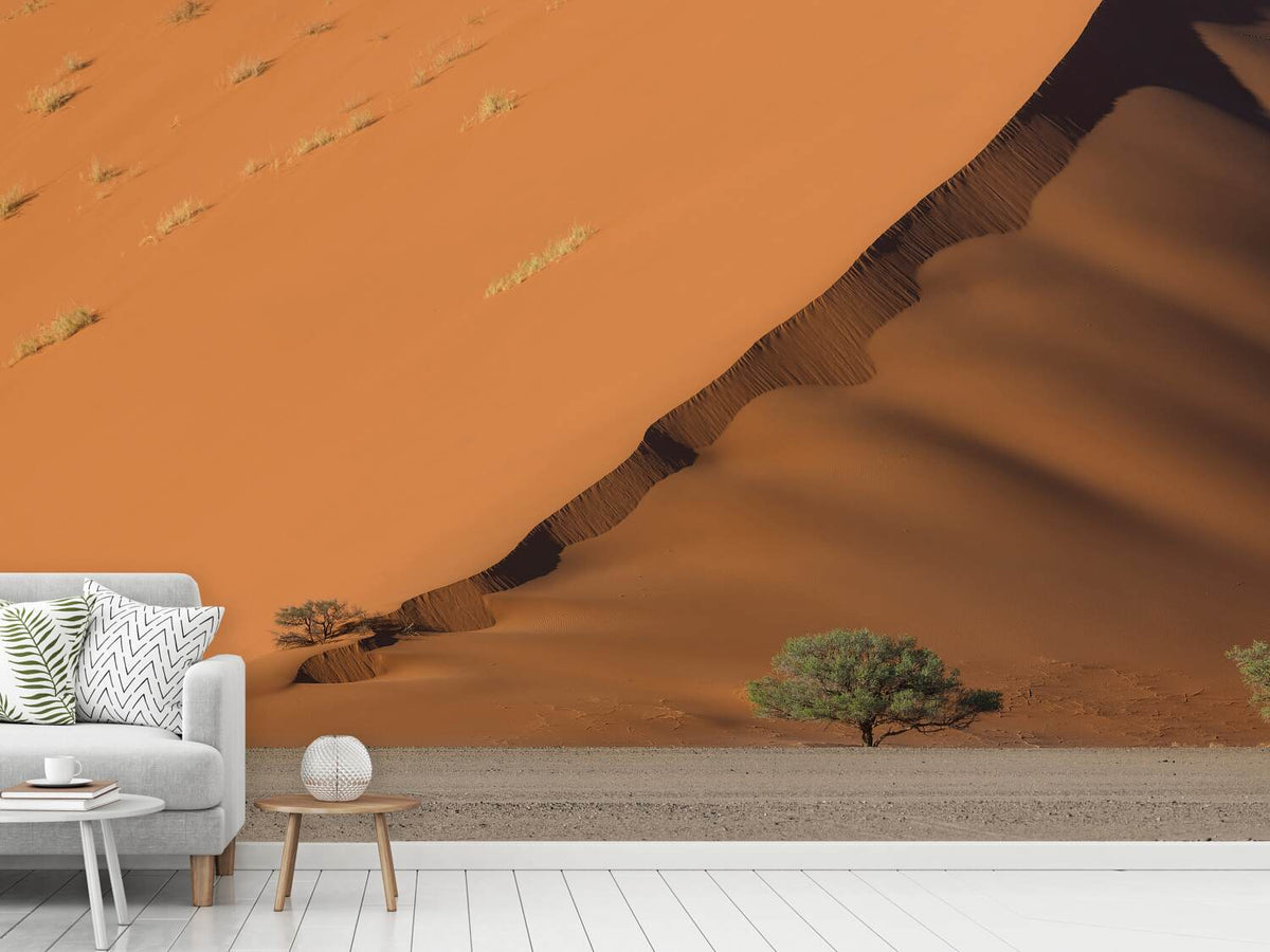 photo-wallpaper-dune-y