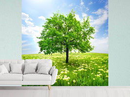 photo-wallpaper-the-tree