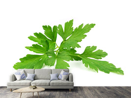 photo-wallpaper-leaves-of-parsley