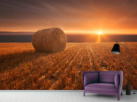 photo-wallpaper-gold-harvest-x