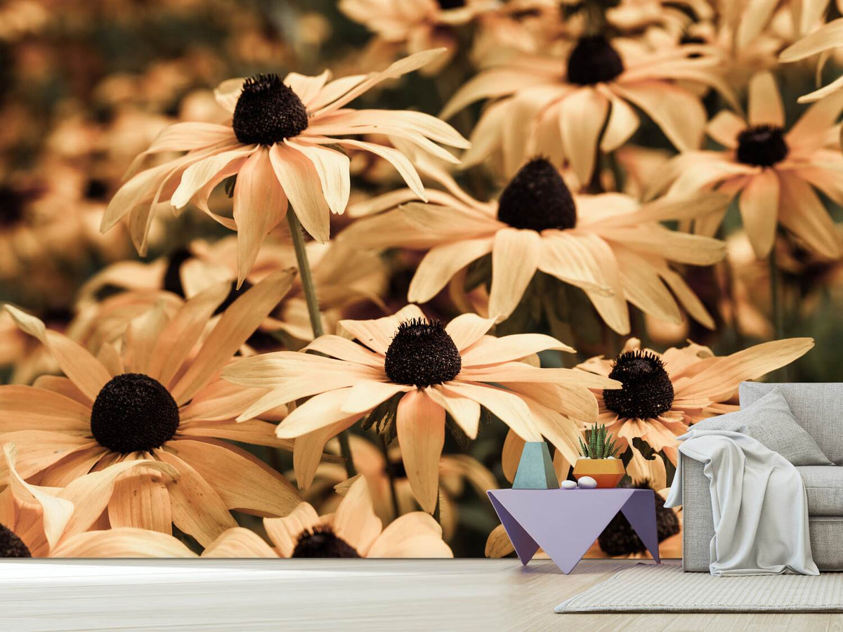 photo-wallpaper-daisies-in-sepia