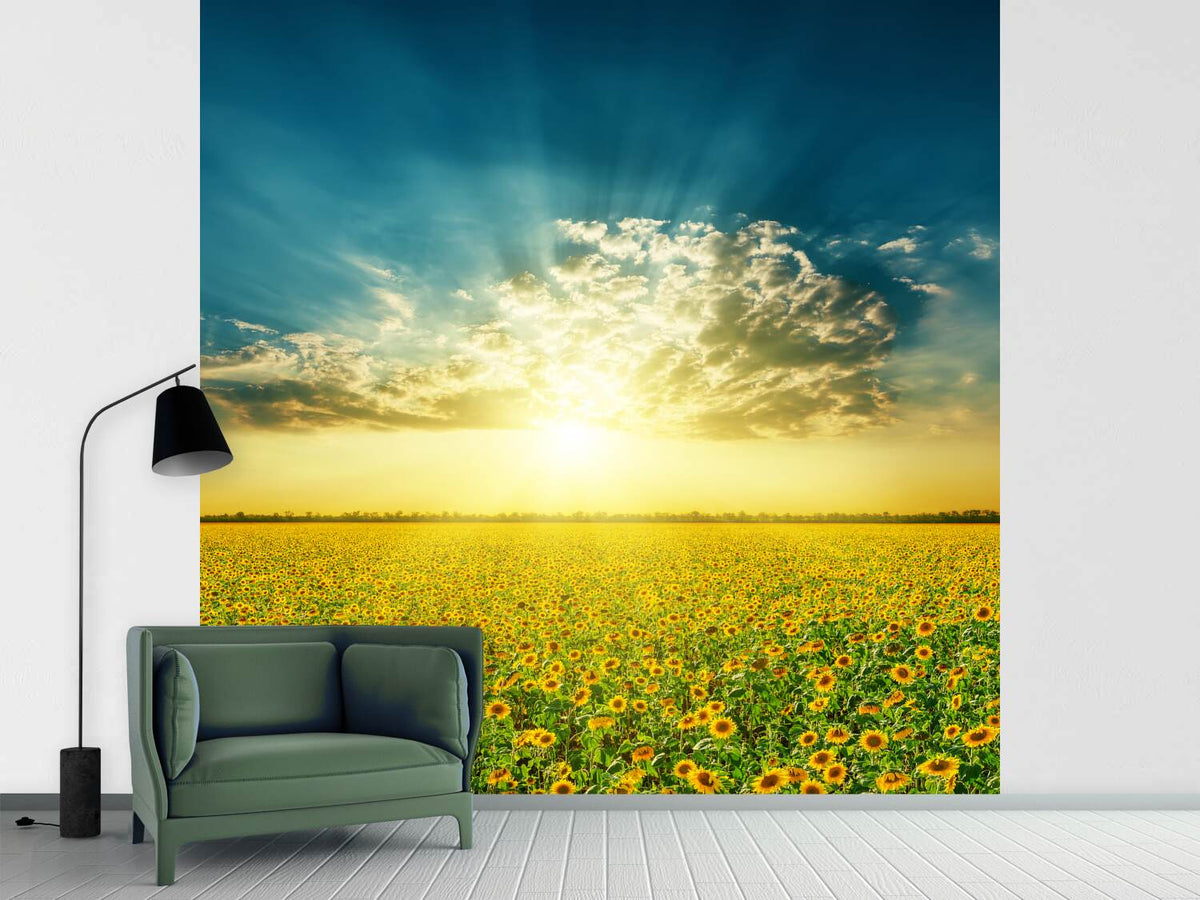 photo-wallpaper-sunflowers-in-the-evening-sun