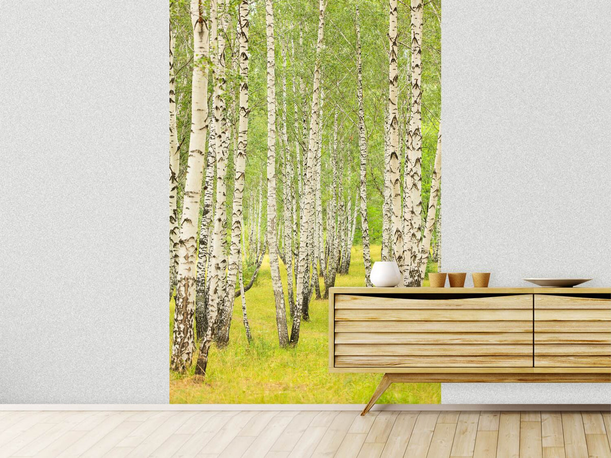 photo-wallpaper-the-birch-forest-in-late-summer