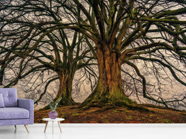 photo-wallpaper-ghostly-trees