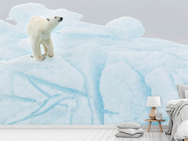 photo-wallpaper-polar-bear-on-iceberg-x