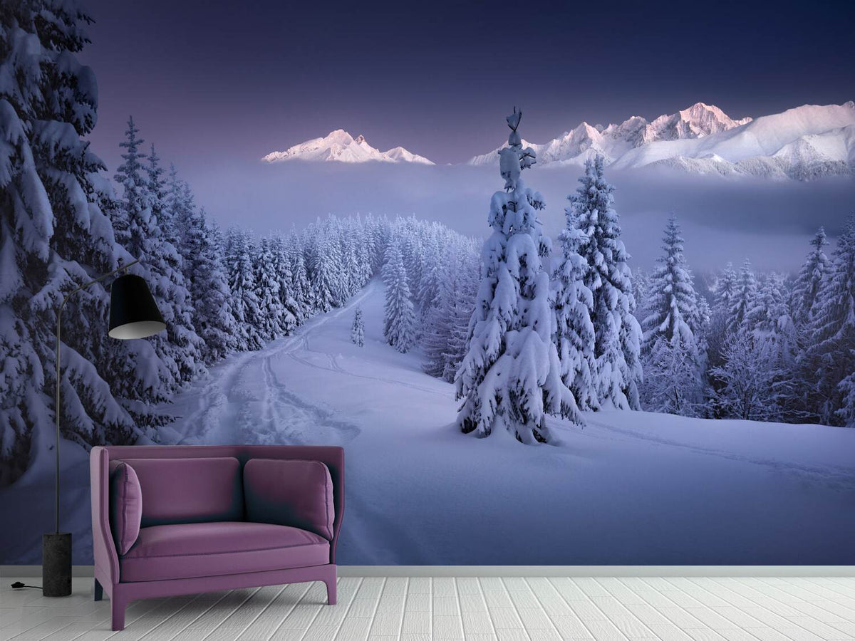 photo-wallpaper-in-the-winter-x