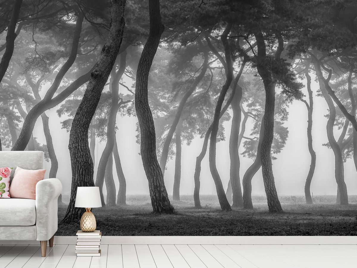 photo-wallpaper-foggy-morning-x