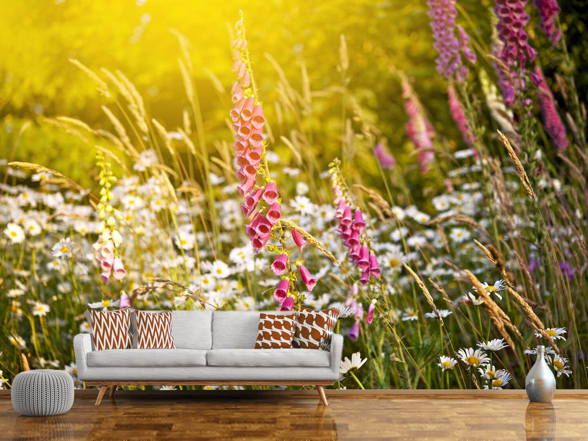 photo-wallpaper-summer-flower-meadow