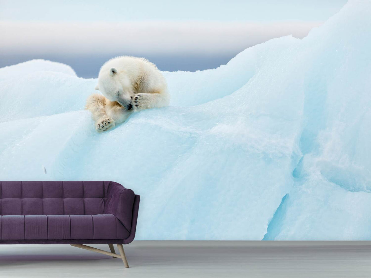 photo-wallpaper-polar-bear-grooming