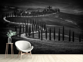 photo-wallpaper-podere-baccoleno-x