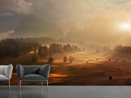 photo-wallpaper-morning-on-alpine-meadow-x