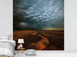 photo-wallpaper-mammatus