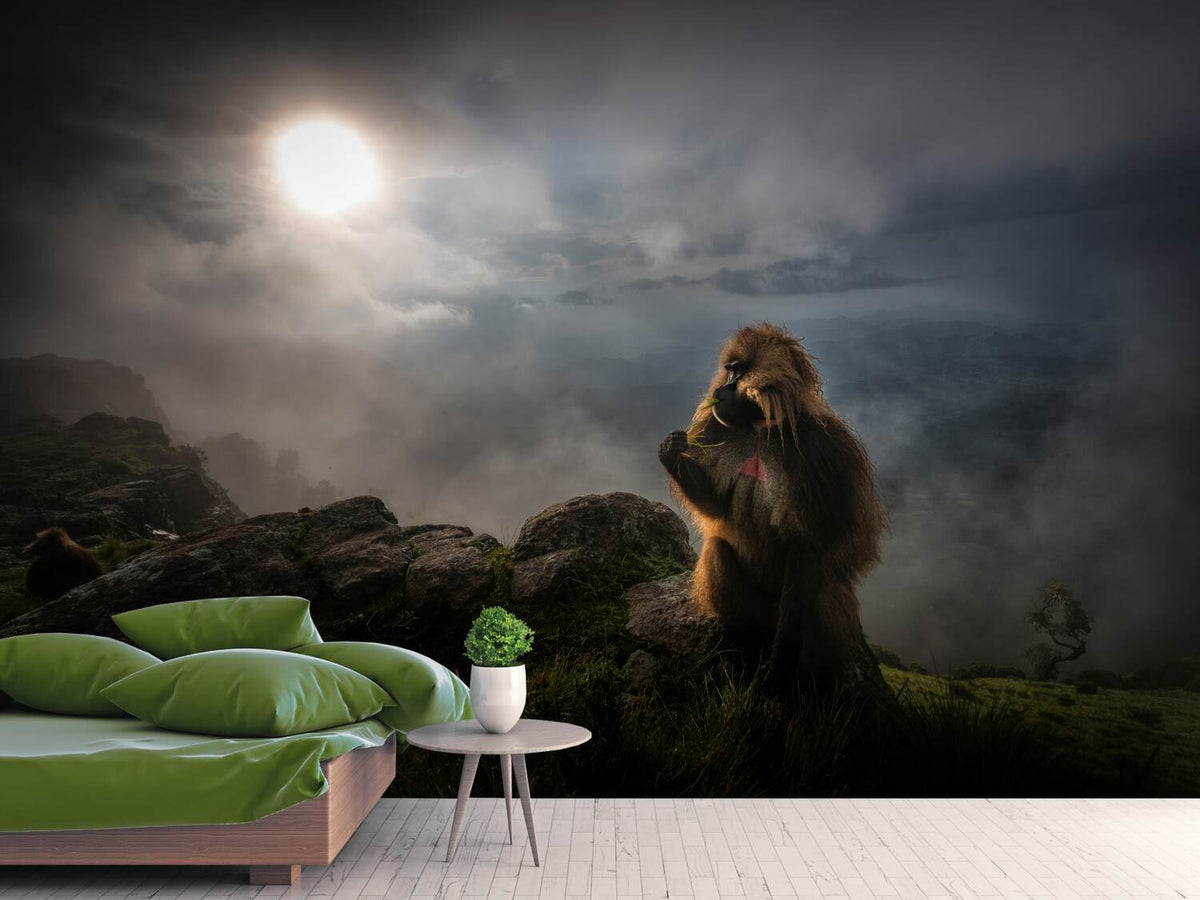 photo-wallpaper-gelada-baboons-x