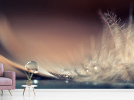 photo-wallpaper-stories-of-drops