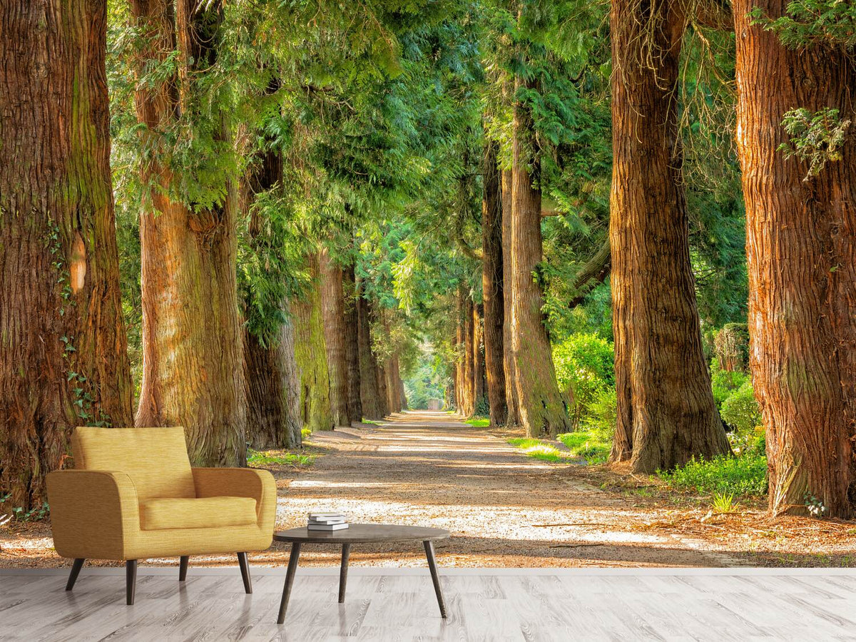 photo-wallpaper-the-green-avenue