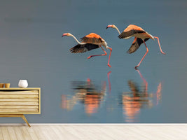 photo-wallpaper-flamingo-landing-x