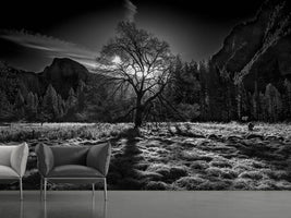 photo-wallpaper-the-winter-spirit