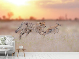 photo-wallpaper-cheetah-hunting-a-gazelle-x