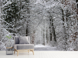 photo-wallpaper-enchanted-winter-forest