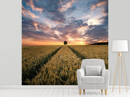 photo-wallpaper-field-of-dreams-x