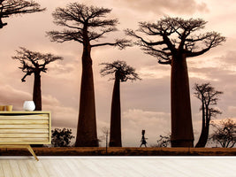 photo-wallpaper-madagascar-x