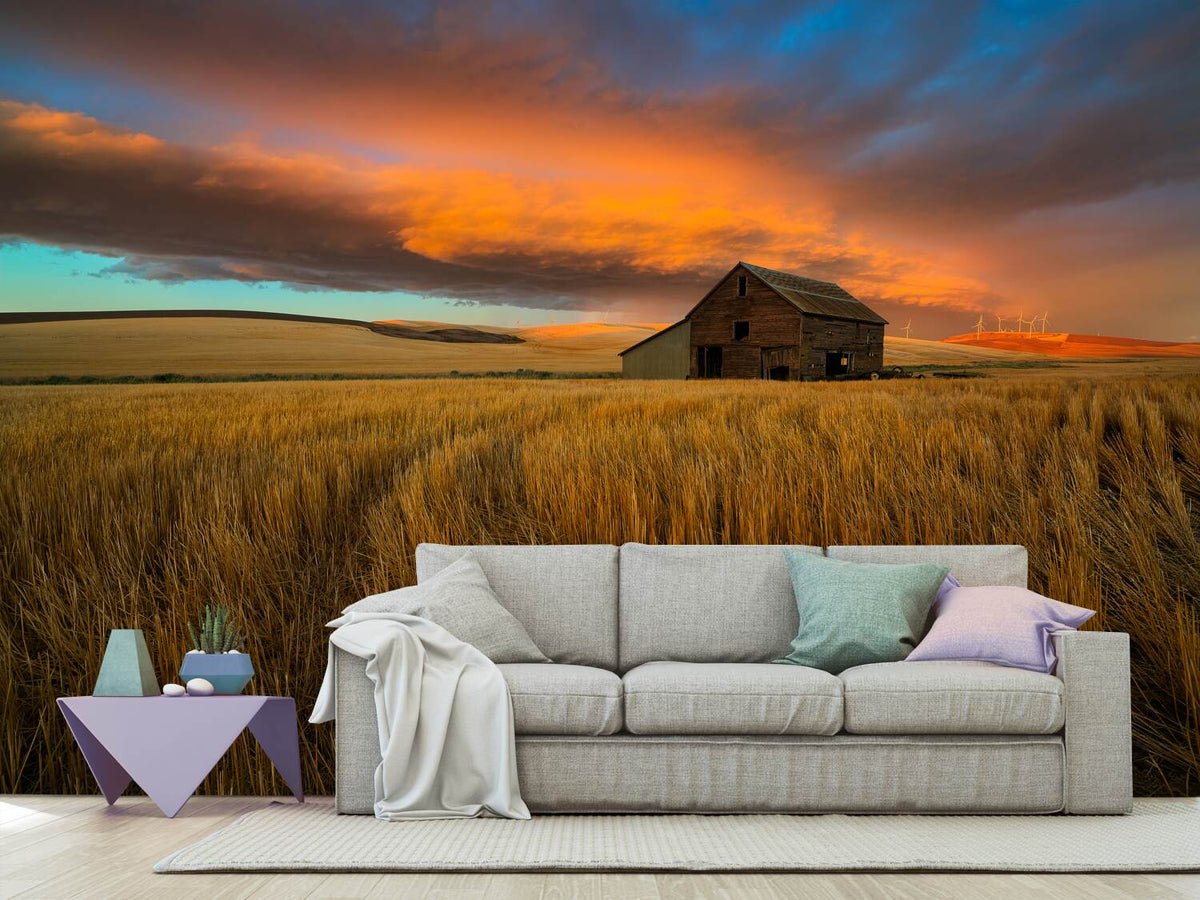 photo-wallpaper-storm-over-palouse-x