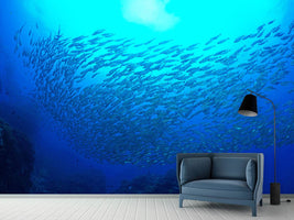 photo-wallpaper-fish-world