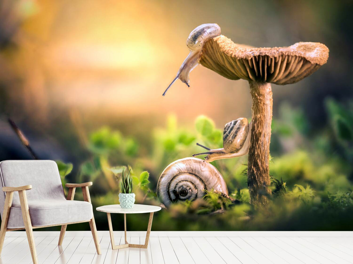 photo-wallpaper-the-awakening-of-snails