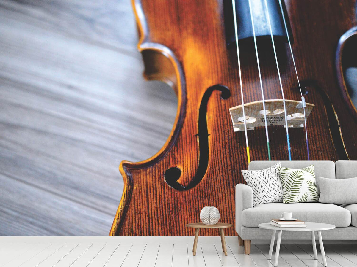 photo-wallpaper-close-up-violin-ii