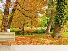 photo-wallpaper-in-the-middle-of-autumn-trees