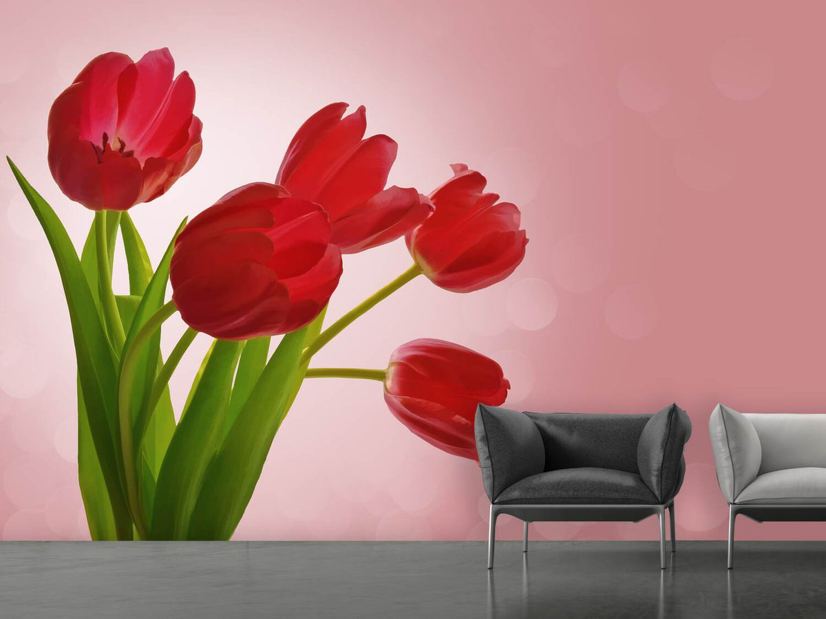 photo-wallpaper-red-tulips-bouquet