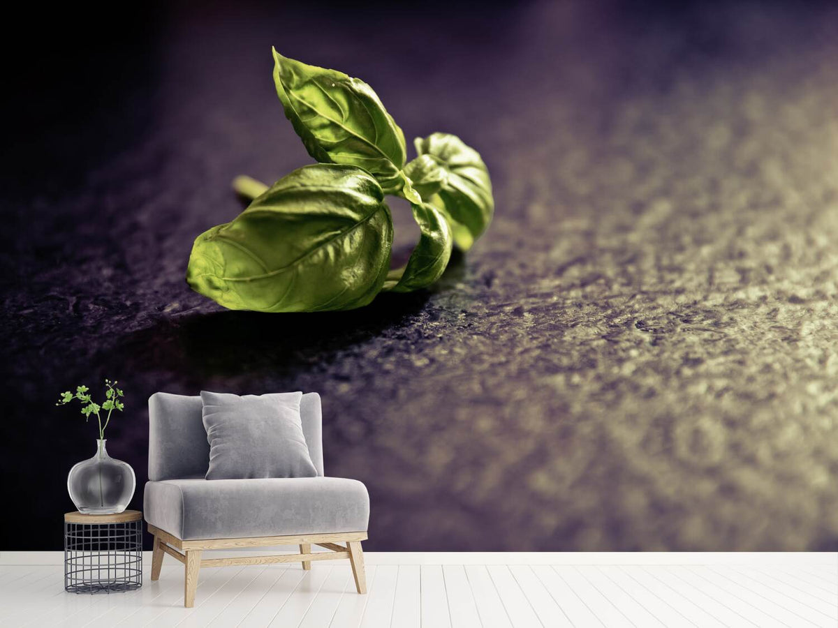 photo-wallpaper-basil-leaves