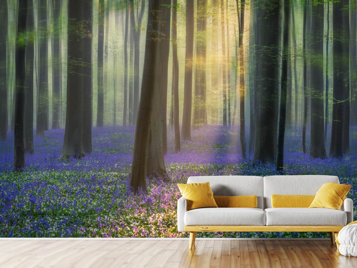 photo-wallpaper-daydreaming-of-bluebells-xfv