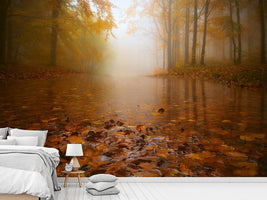 photo-wallpaper-autumn-flooding-x