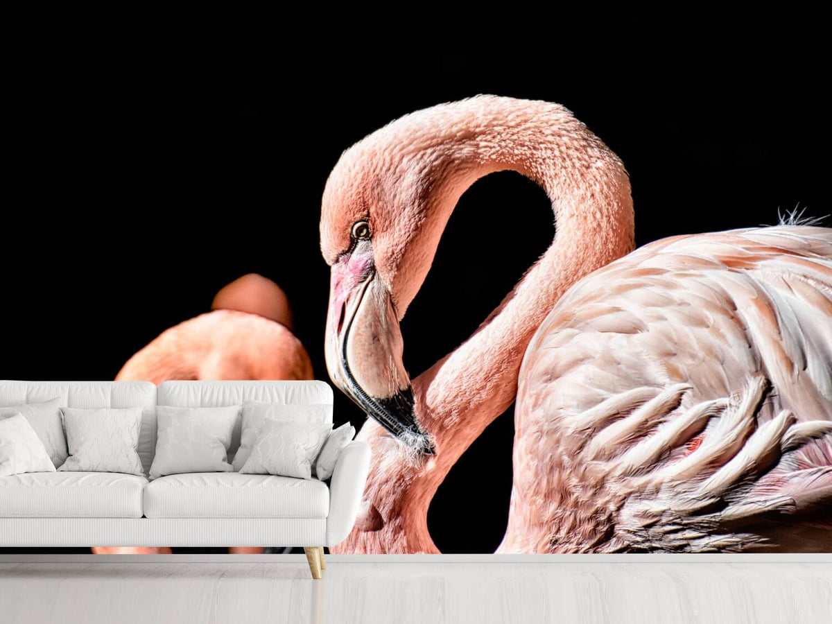 photo-wallpaper-magnificent-flamingos