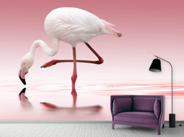 photo-wallpaper-flamingo