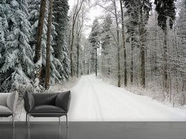 photo-wallpaper-snow-in-the-forest