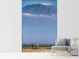 photo-wallpaper-kilimanjaro-and-the-quiet-sentinels