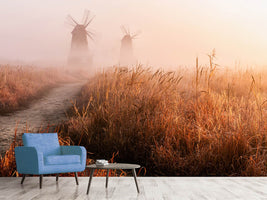 photo-wallpaper-morning-mist-x