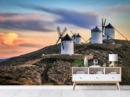 photo-wallpaper-molinos-al-viento-x