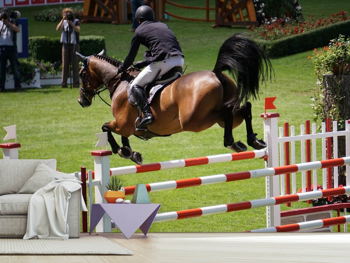 photo-wallpaper-the-show-jumper