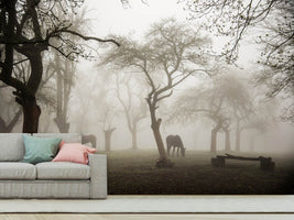 photo-wallpaper-horses-in-a-foggy-orchard-x