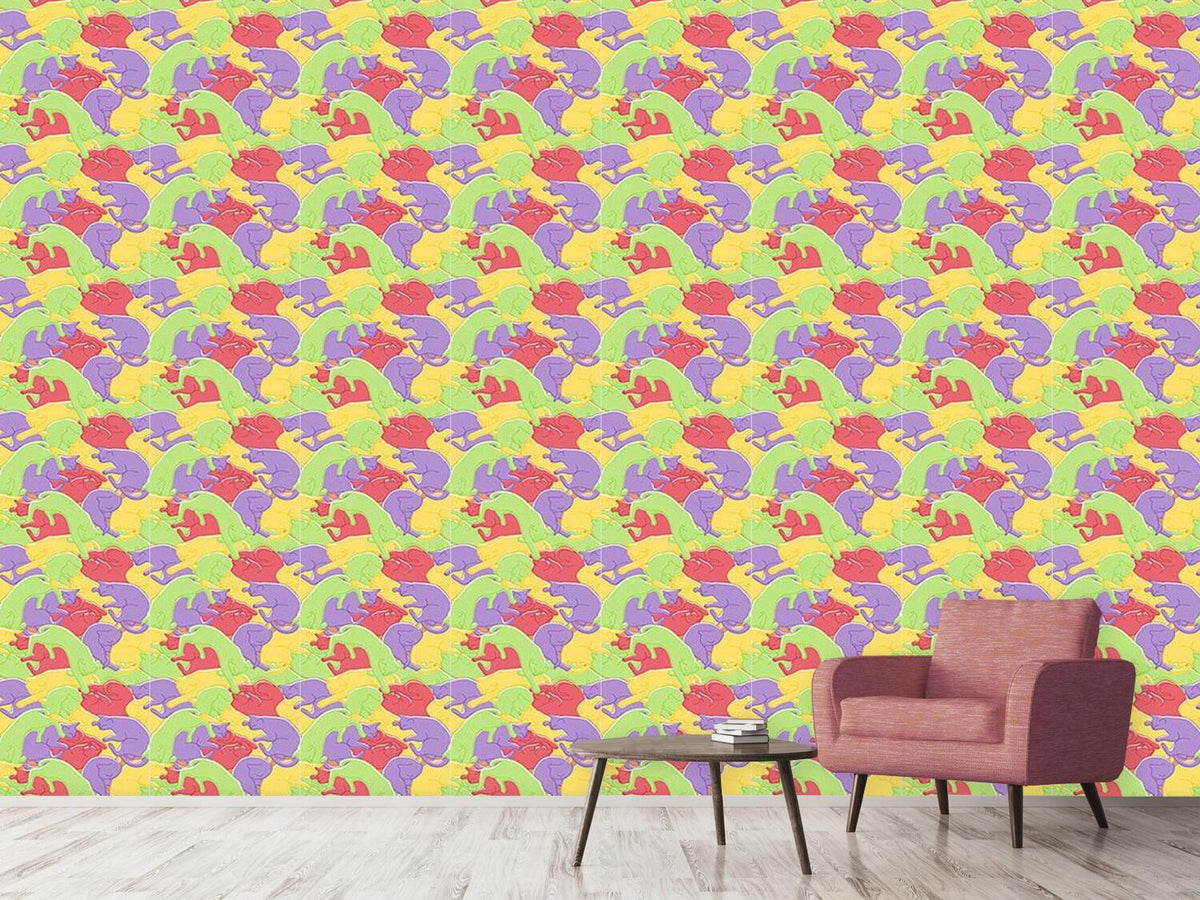 patterned-wallpaper-cuddle-cats