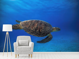 photo-wallpaper-green-turtle-in-the-blue