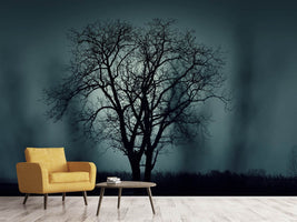 photo-wallpaper-the-tree-in-darkness